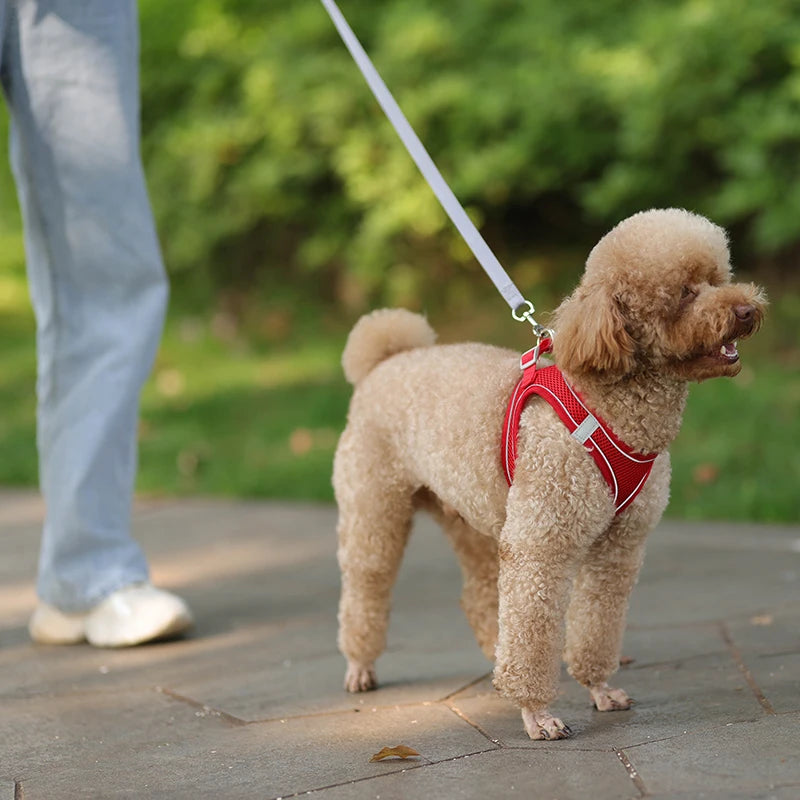 Adjustable Dog Harness Set