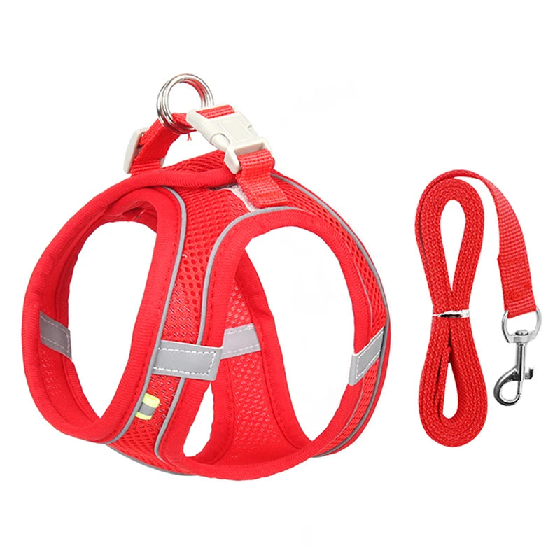 Adjustable Dog Harness Set