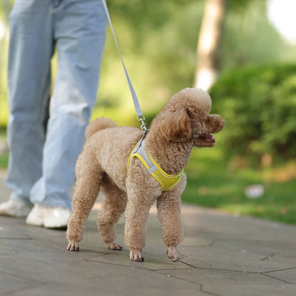 Adjustable Dog Harness Set