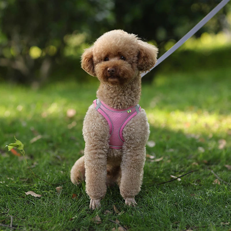 Adjustable Dog Harness Set