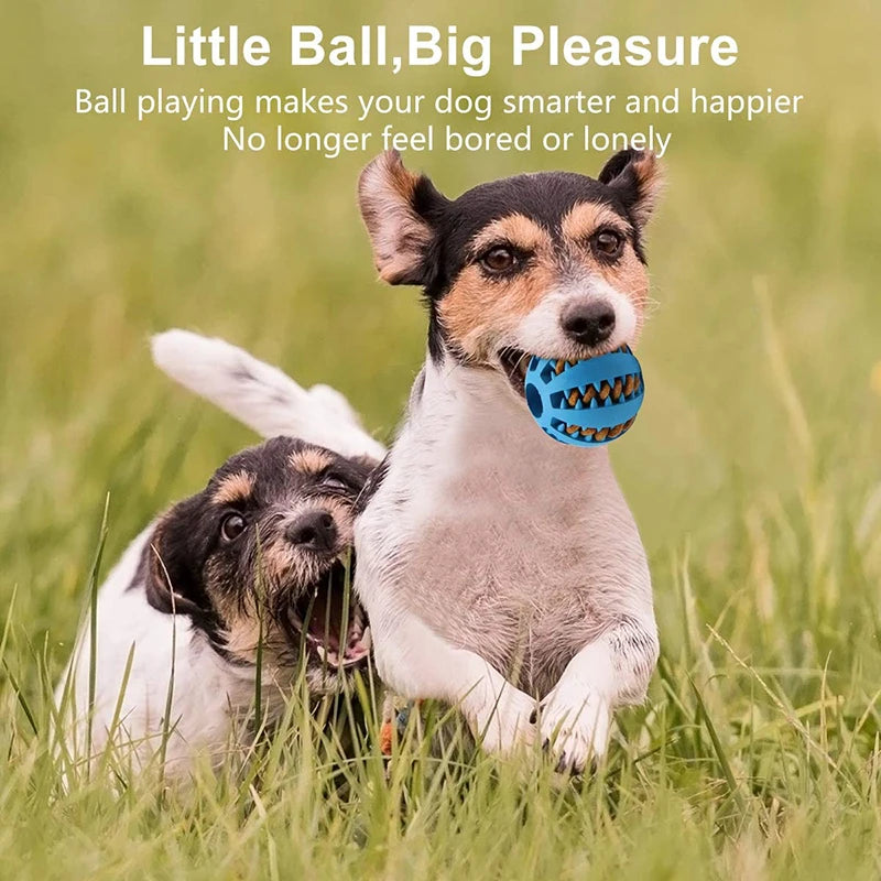 Interactive Dog Chew Ball